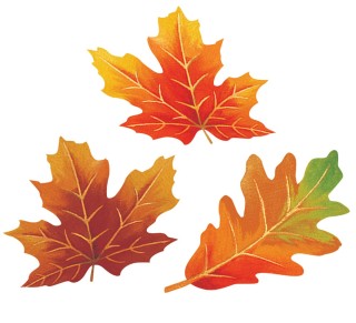 Кленовые и дубовые листья