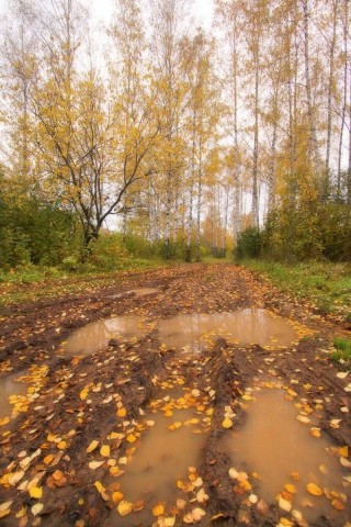 Осень слякоть грязь