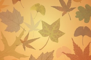 Листья на картоне