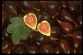 Овощи и фрукты коричневого цвета