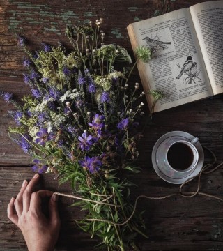 Все лесные цветы