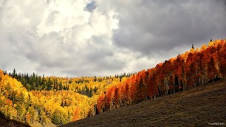 Настоящая осень в сибири
