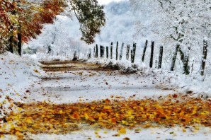 Первый осенний снег