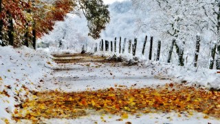 Первый осенний снег