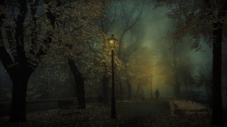 Мрачная осень дождь