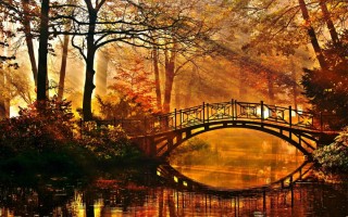 Осень мост