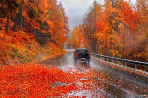 Осень на дороге