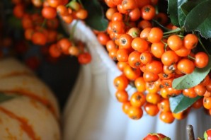 Осенние оранжевые ягоды
