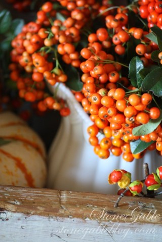 Осенние оранжевые ягоды