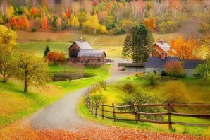 Осенняя дорога в деревне