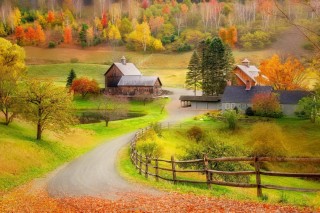 Осенняя дорога в деревне