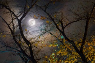 Луна в осеннем окне