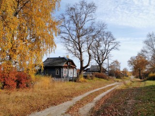 Золотая осень в селе