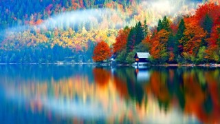 Осенний пейзаж с водой