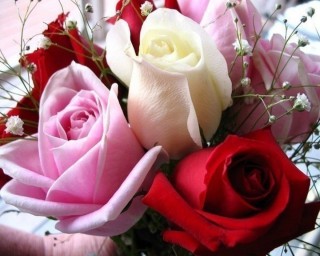 Красивые розы для женщины