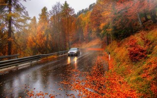 Осень дорога дождь