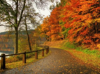 Осенний октябрь