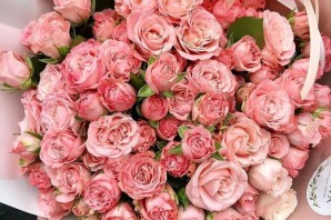 Красивые одиночные розы