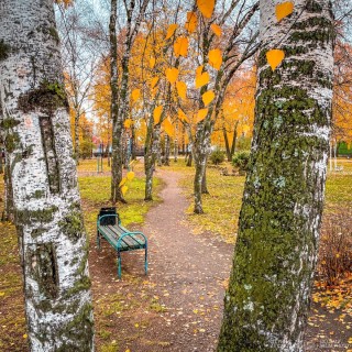 Увядающая осень