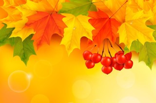 Осенняя заставка для презентации