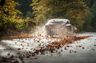 Машинка из листьев