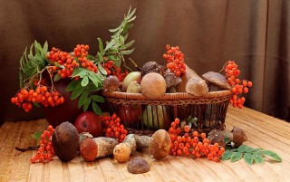 Ягоды из природных материалов