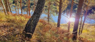 Осенняя волга
