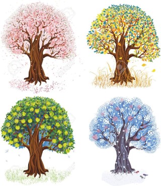 Деревья в разные времена года