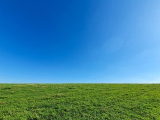 Зеленая трава и небо