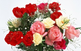 Поздравительные цветы
