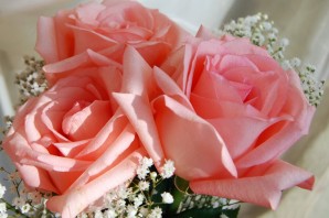 Букет роз для любимой женщины