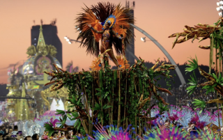 Бразильские цветы