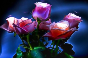 Ночные розы для любимой девушки