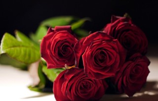 Букет роз для любимой
