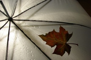 Зонт из кленовых листьев