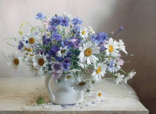 Васильки и ромашки