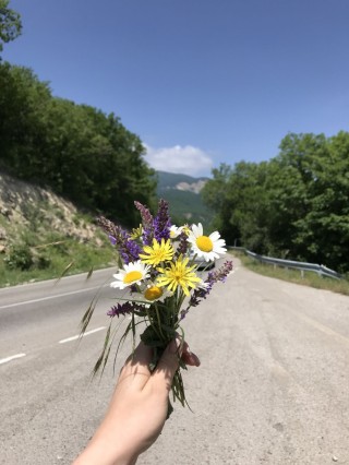 Грузинские цветы