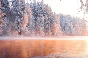 Зимний утренний лес
