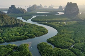 Вид устья реки амазонка