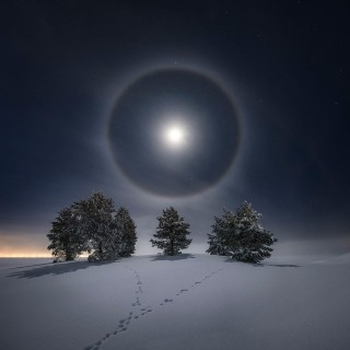 Белый круг вокруг луны