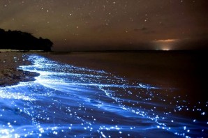 Мальдивы звездное море
