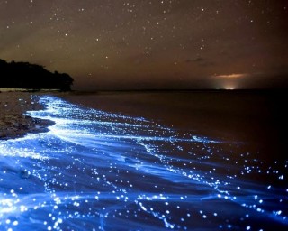Мальдивы звездное море