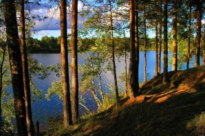 Озеро светлое ленинградская область