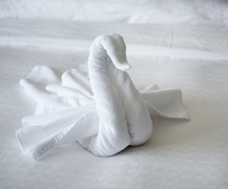 Лебедь из полотенца