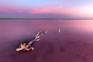Соленое розовое озеро алтай
