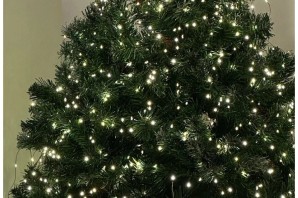 Елка украшенная гирляндой роса