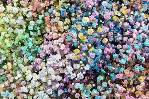 Цветные маленькие цветочки