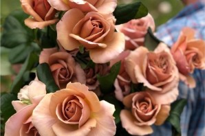 Розы кофейного цвета