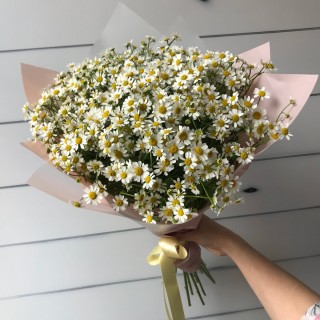Огромный букет ромашек