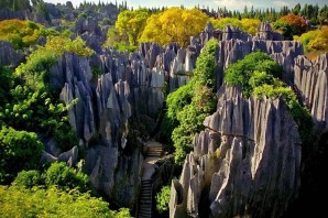 Каменный лес в китае